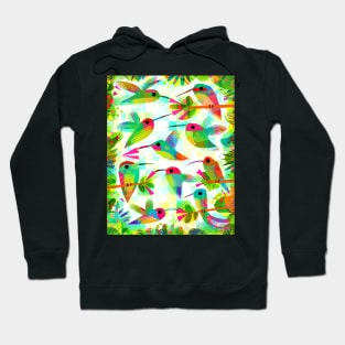 Hummingbirds Hoodie